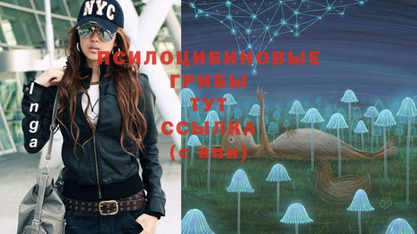 молекула духа Абаза
