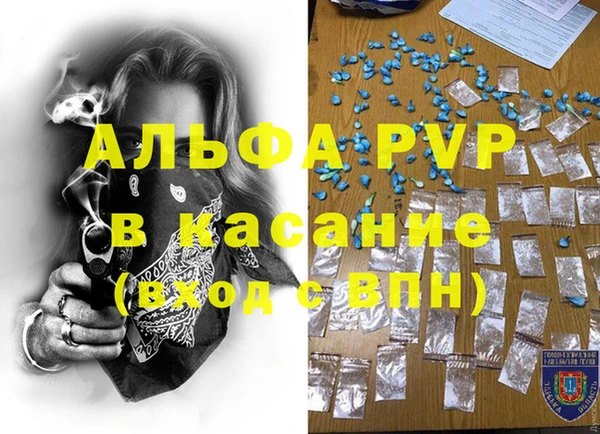 прущие грибы Семилуки