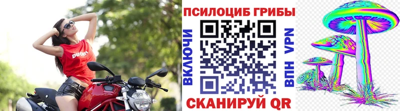 Псилоцибиновые грибы мухоморы  Иннополис 